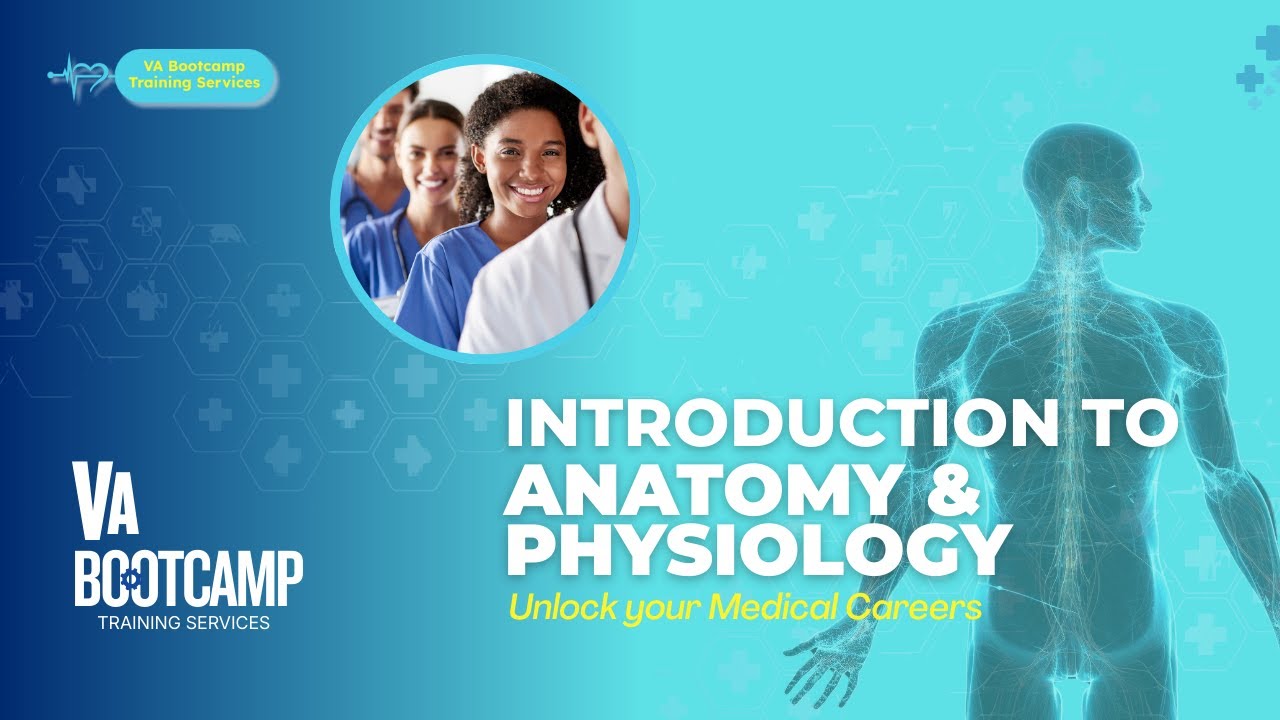 🫁Introduction to Anatomy and Physiology🫀🧠