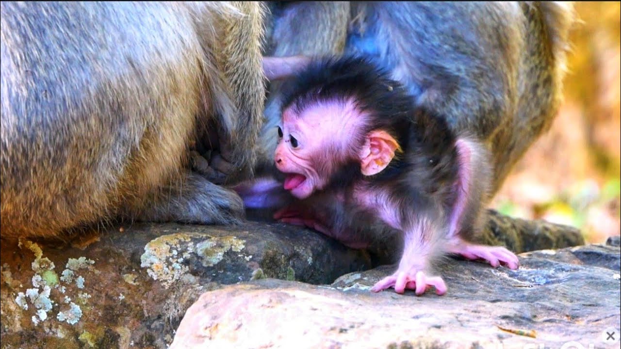 F168-89- Lovely baby so cute