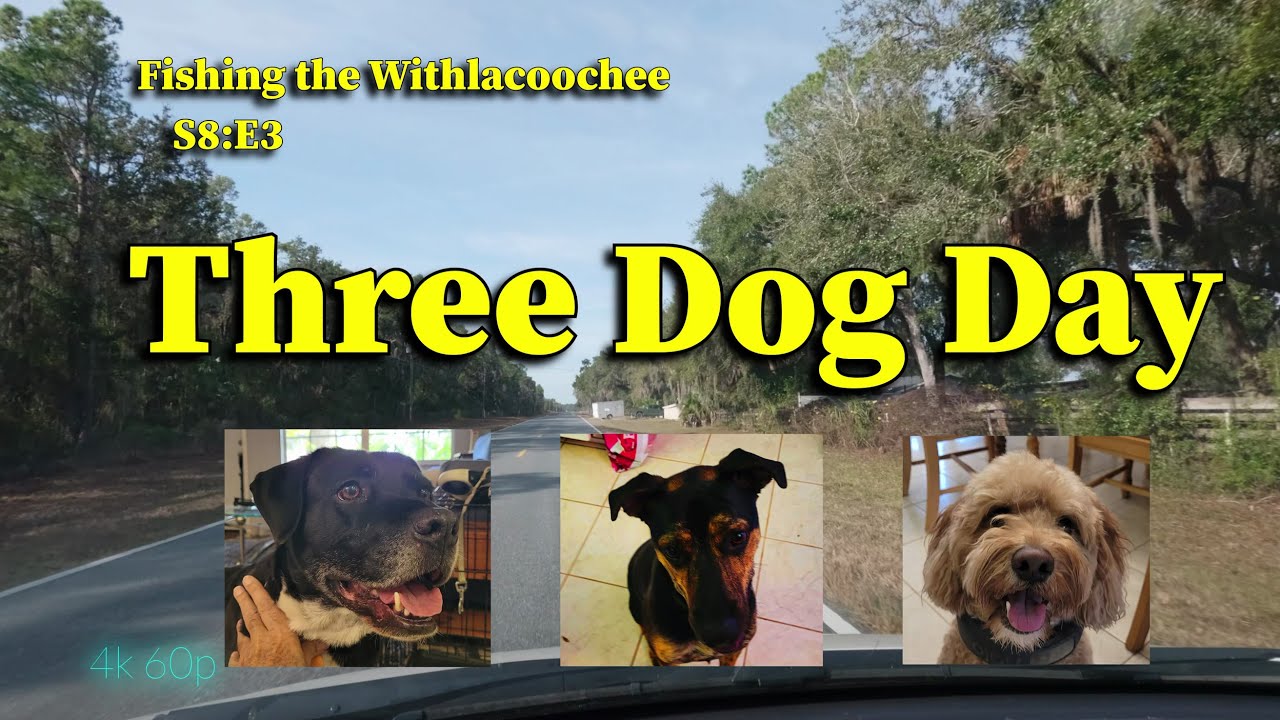 Fishing the Withlacoochee S8E3: Three Dog Day