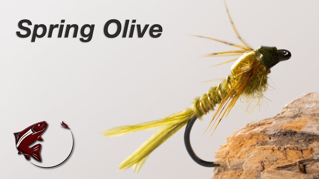 Spring Olive
