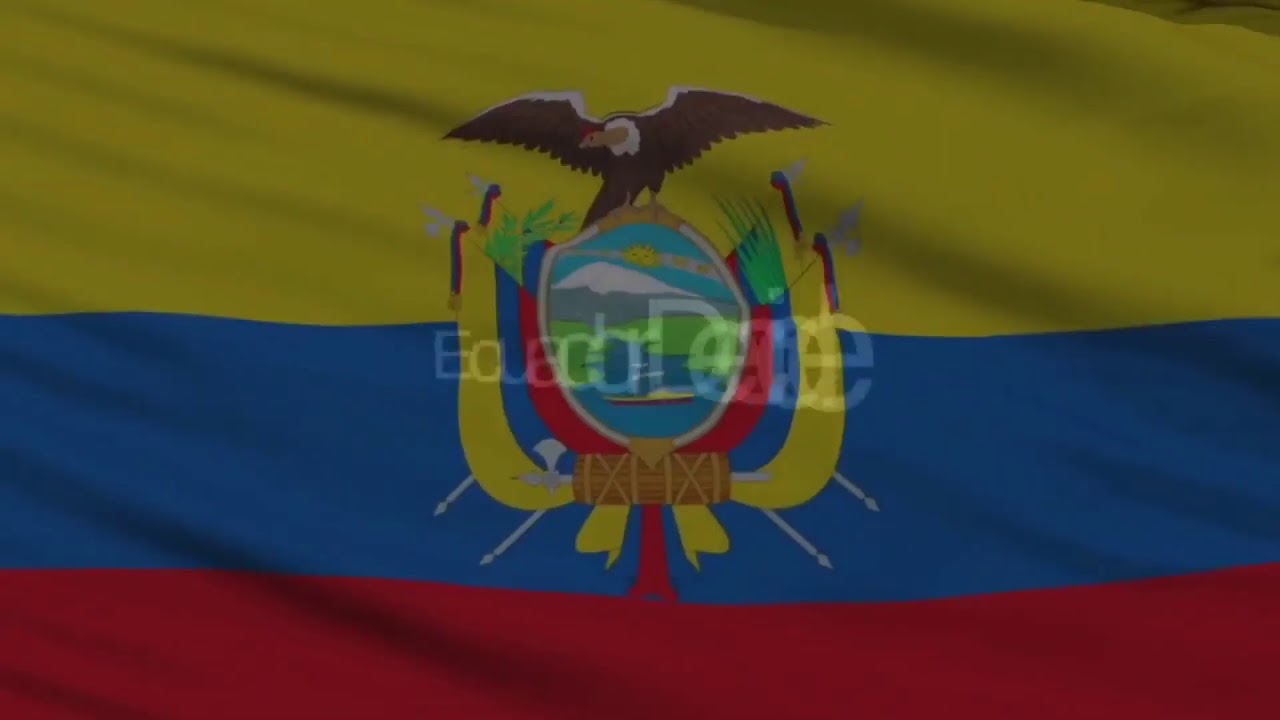 EN VIVO 📻 www.laradio.ec 🎙 #elecciones2021ec 🇪🇨 #EcuadorDecide  #Ecuador