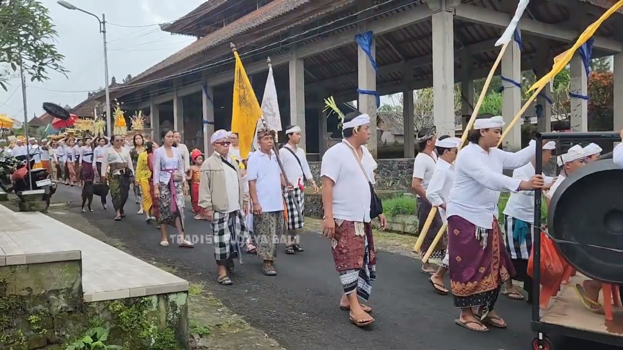 UPACARA ADAT BALI ❗️ NYENUK