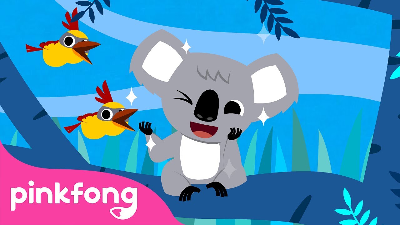 🐨 Le Koala | Chansons d'Animaux | Pinkfong Baby Shark en français ! Chansons pour Enfants