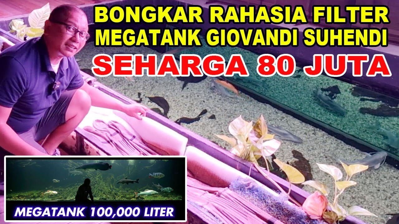 BUKA RAHASIA FILTER HARGA 80 JUTA DI MEGATANK 100 RIBU LITER GIOVANDI SUHENDI