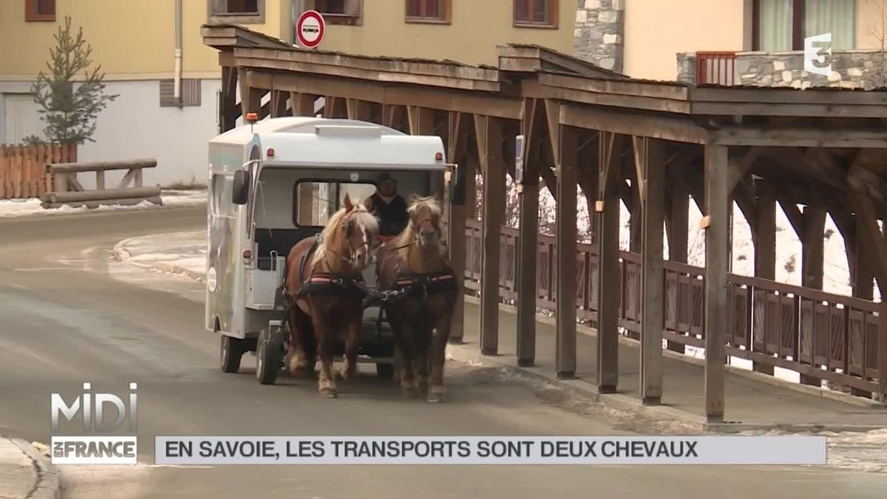 ANIMAUX : La navette hippomobile, une solution écologique