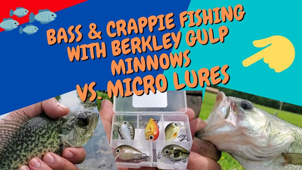 Bass and Crappie Fishing on Micro Crankbait Vs Berkley Gulp Minnows