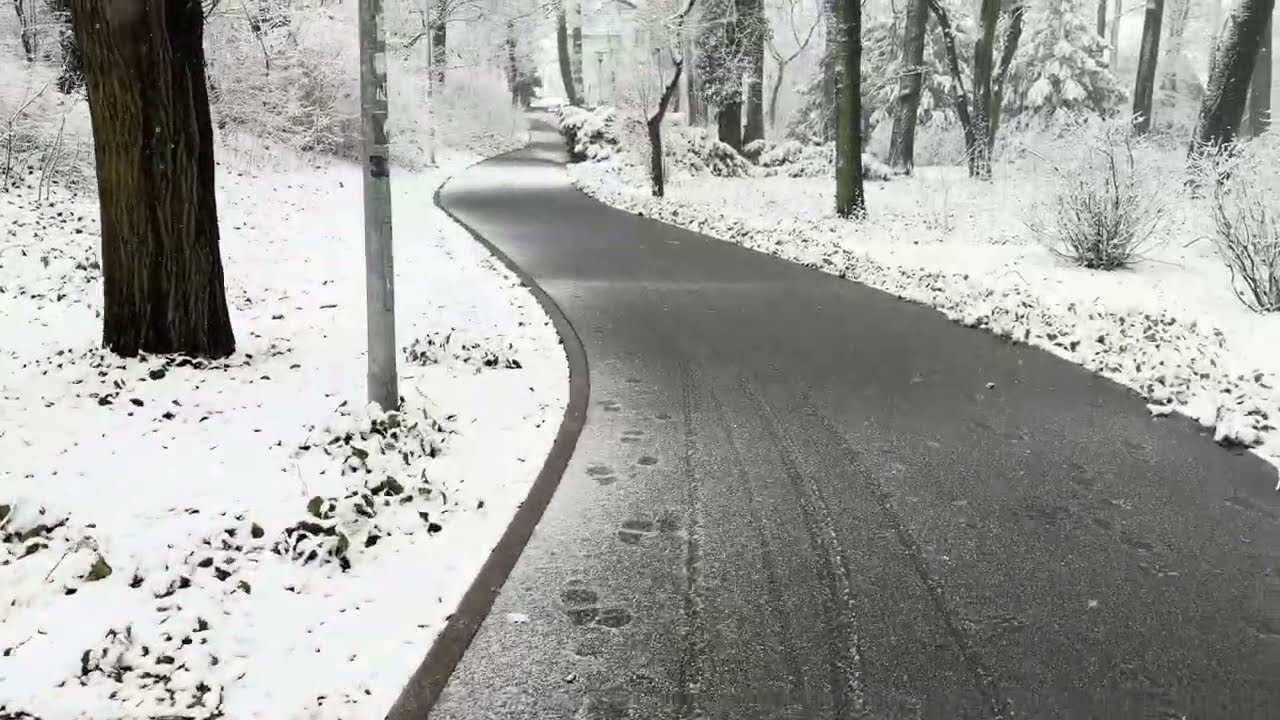13.2. Schnee park t.s.e