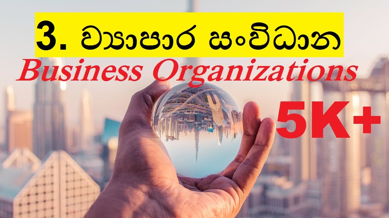 OL Commerce | Grade 10 | Lesson 3 - ව්‍යාපාර සංවිධාන (Business Organizations)