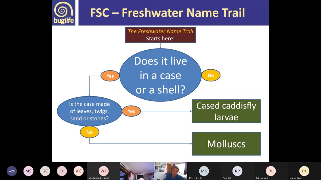 Introduction to Freshwater Invertebrates with Craig Nisbet