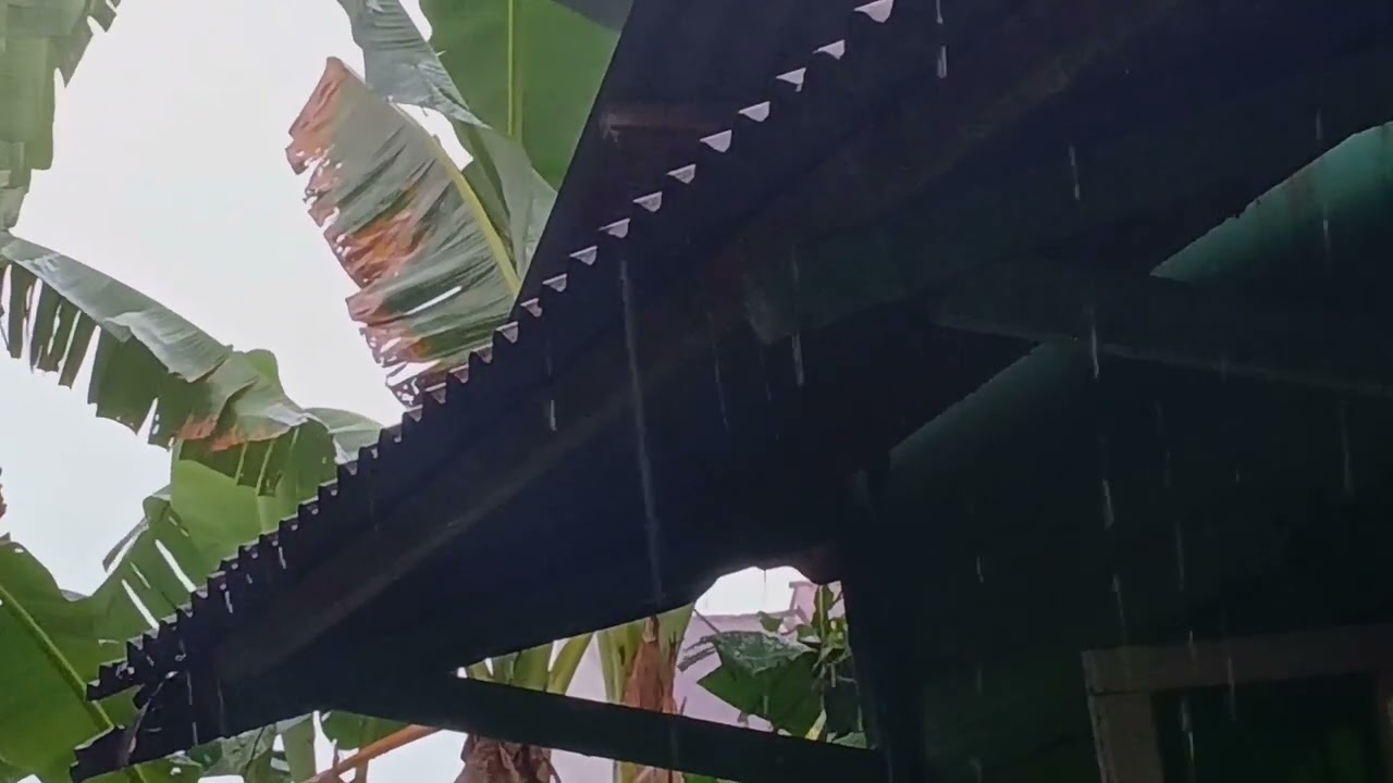 Deep Sleep Rain Sounds: Heavy Rain on Tin Roof with Gentle Thunder Sounds for 30 Minutes