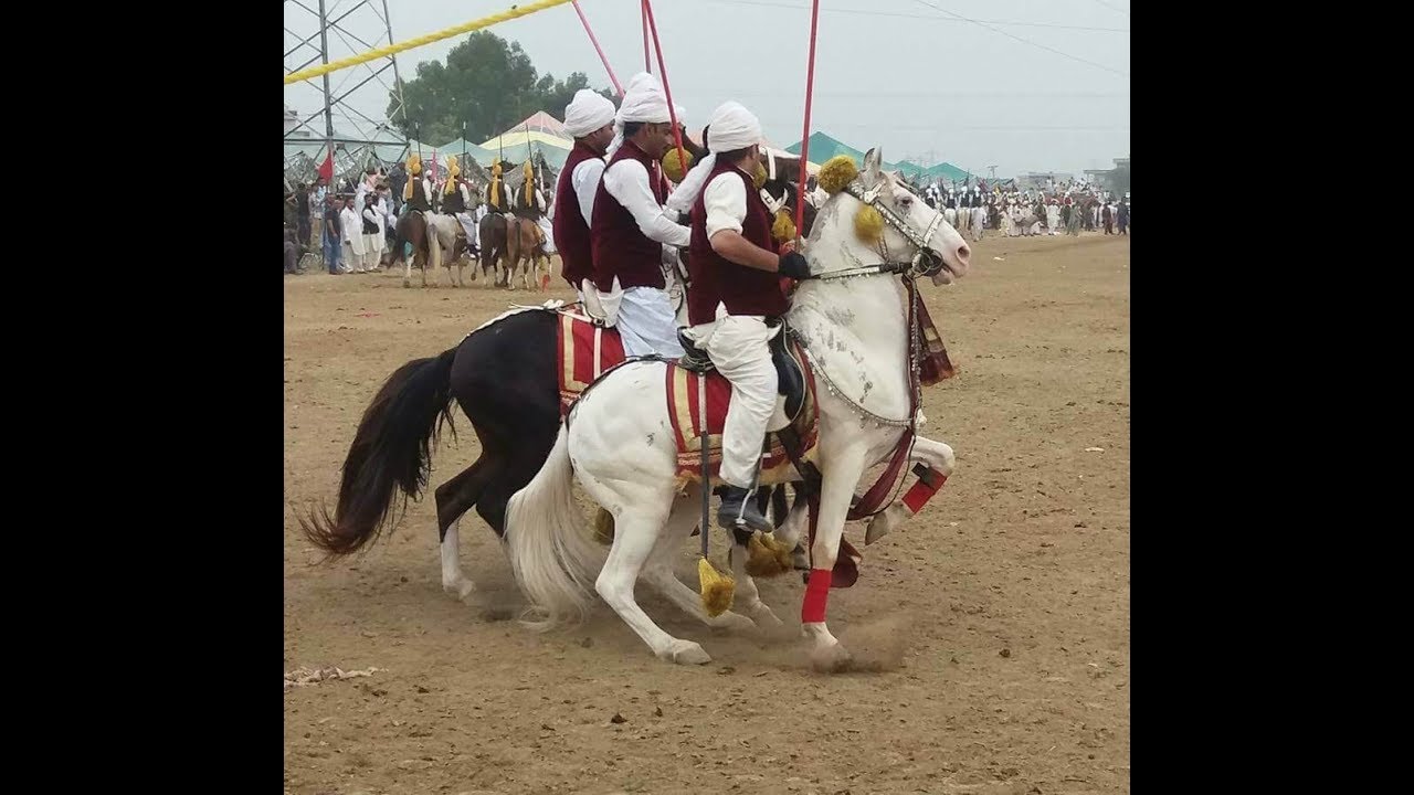 Hassn Raza Bukhari~International Rider