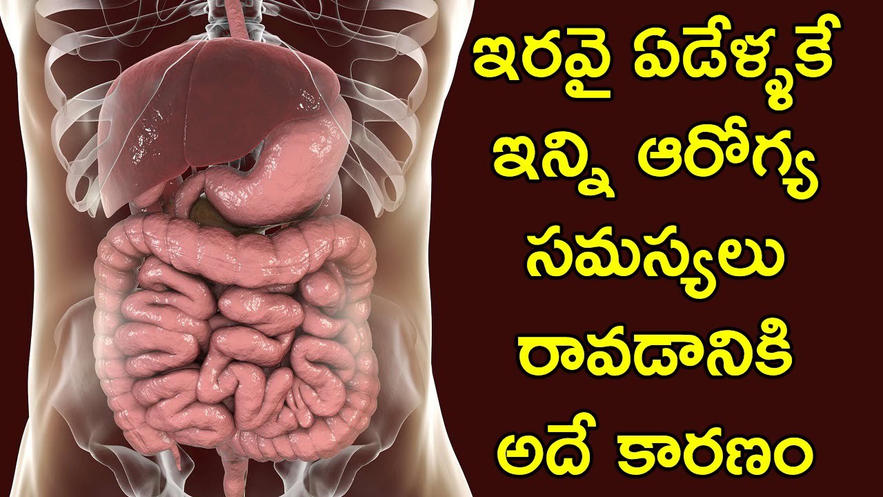 ఇరవై ఏడేళ్ళకే ఇన్ని ఆరోగ్య సమస్యలు రావడానికి అదే కారణం పార్ట్ 1 | H Pylori | Gas | Bloating | Farts