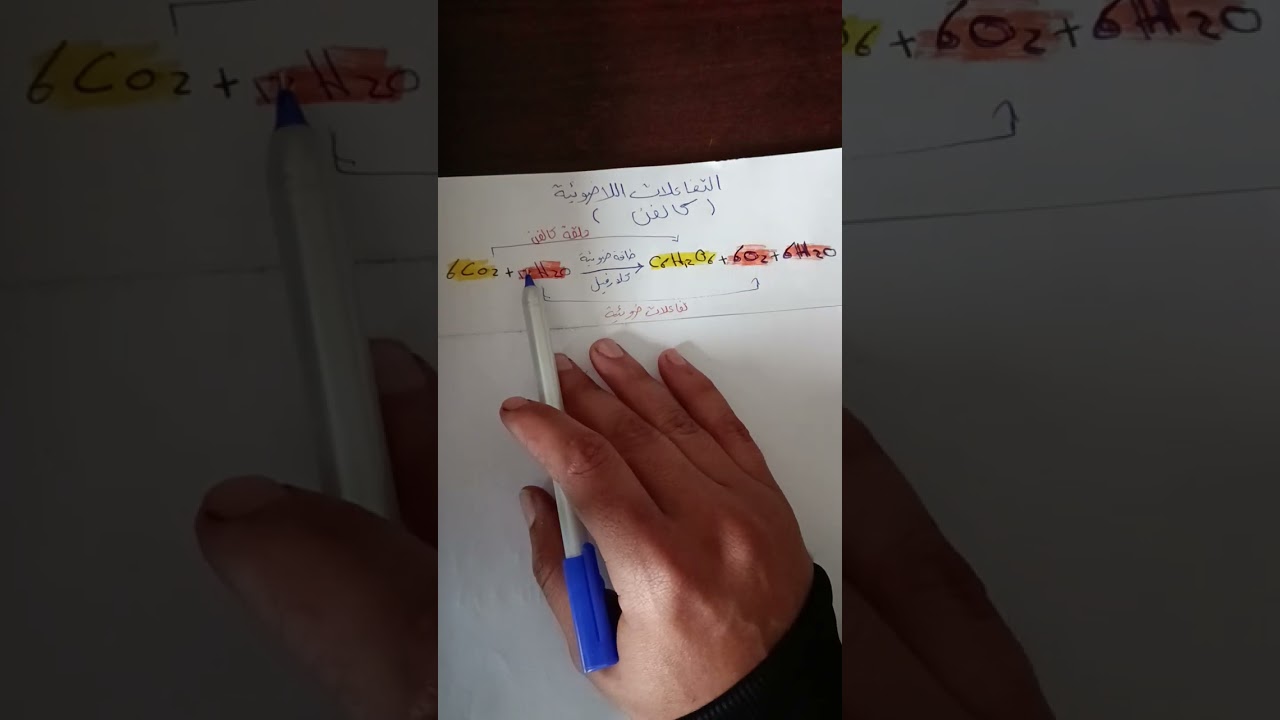 (أحياء توجيهي) التفاعلات الاضوئية:حلقة كالفن.