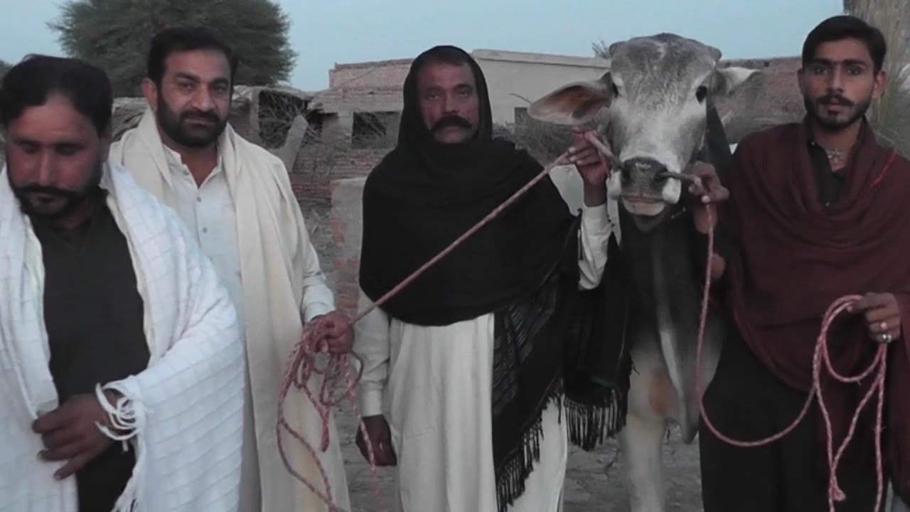 December 26, 2025 نیو انٹری بیل ویس گروپ 