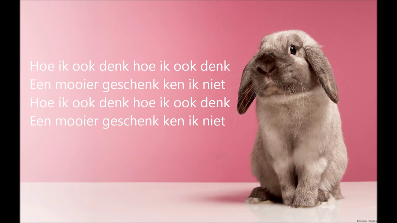 Kinderkerstfeest 2017   GROEP 1 tm 8   Als Je Veel Van Iemand Houdt   Elly  Rikkert