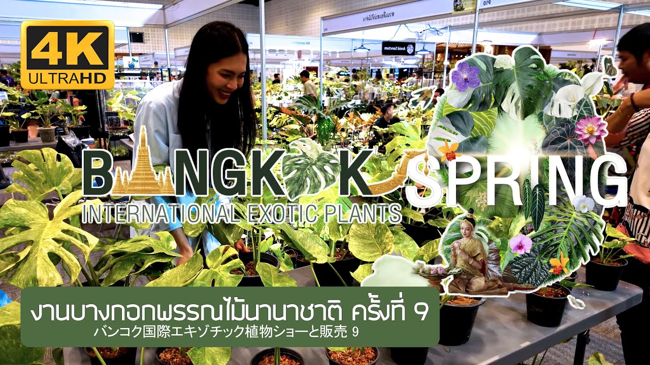 9th Bangkok International Exotic Plants 2025 งานบางกอกพรรณไม้นานาชาติ ครั้งที่ 9 バンコク国際外来植物ショー & セール