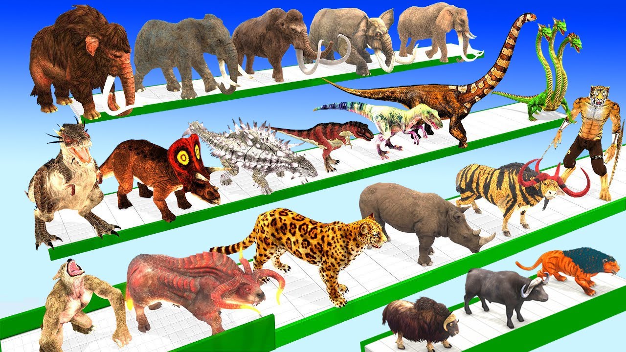 Animals vs Dinosaur Brachiosaurus vs Giant Hydra Speed Race Run Zigzag Course! Super Animals Battle