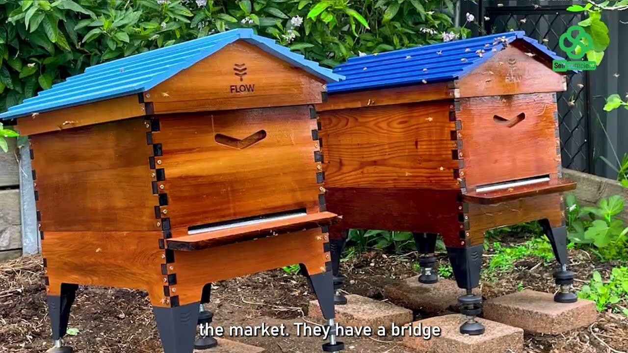 HOW TO BE SELF SUFFICIENT IN BEE KEEPING