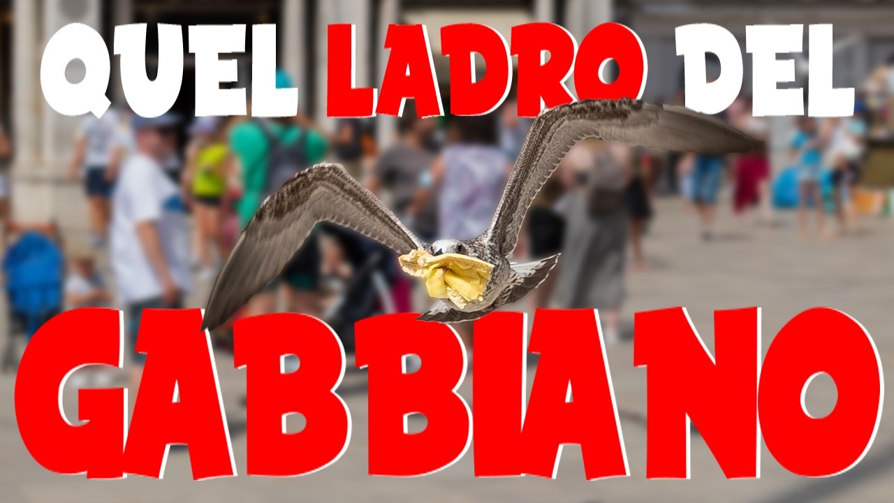 Quel LADRO del GABBIANO  - Rubano sia ai turisti che ad altri animali!