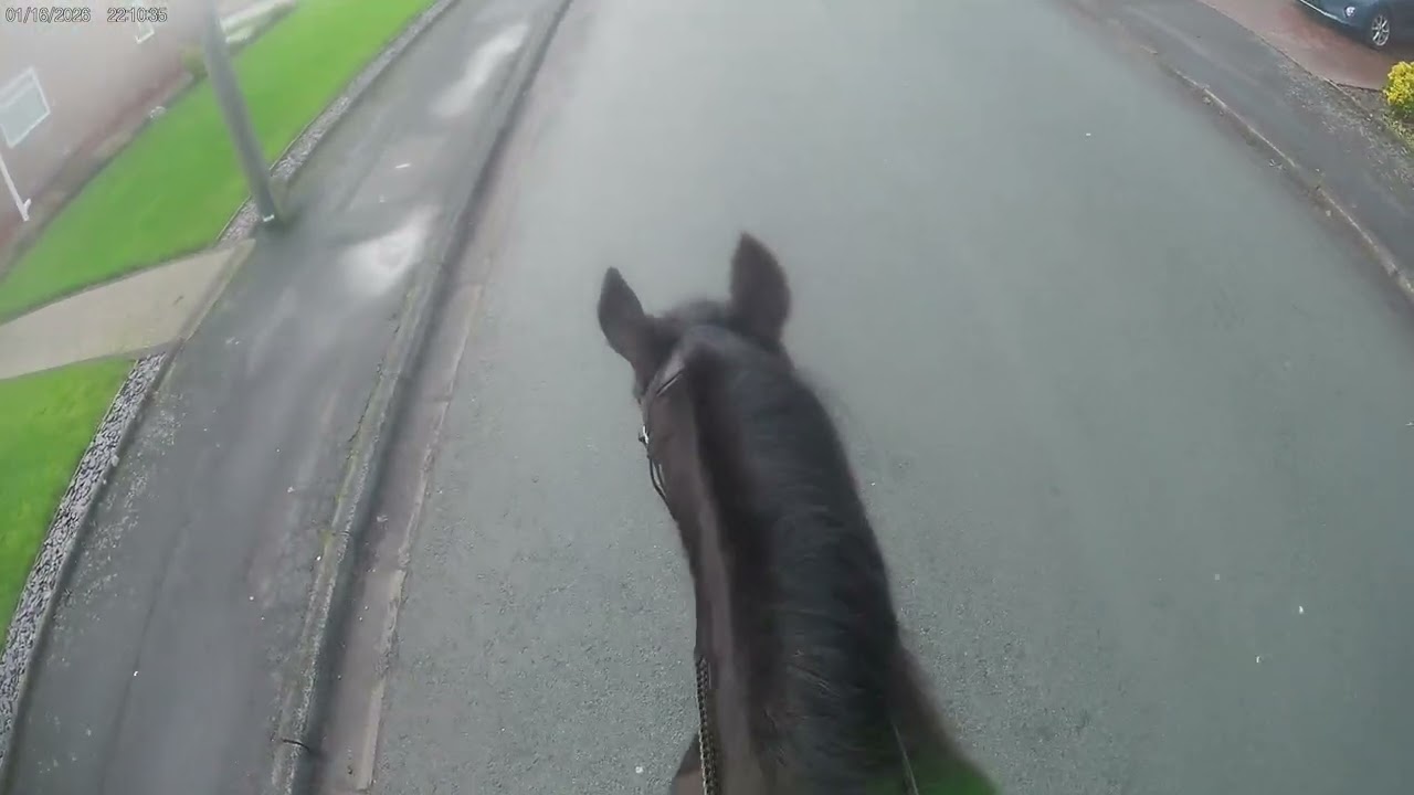 Join me and Peach on a hack ❤️ 