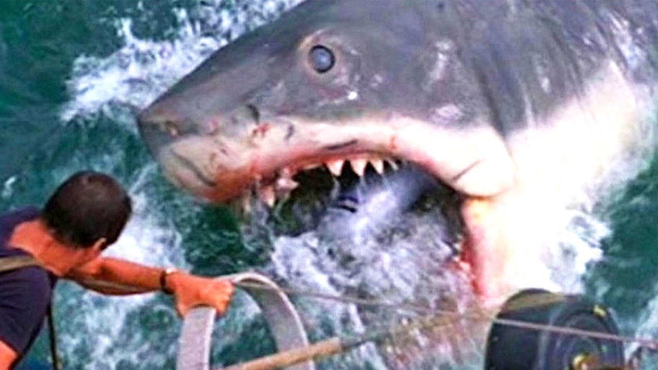 JAWS 