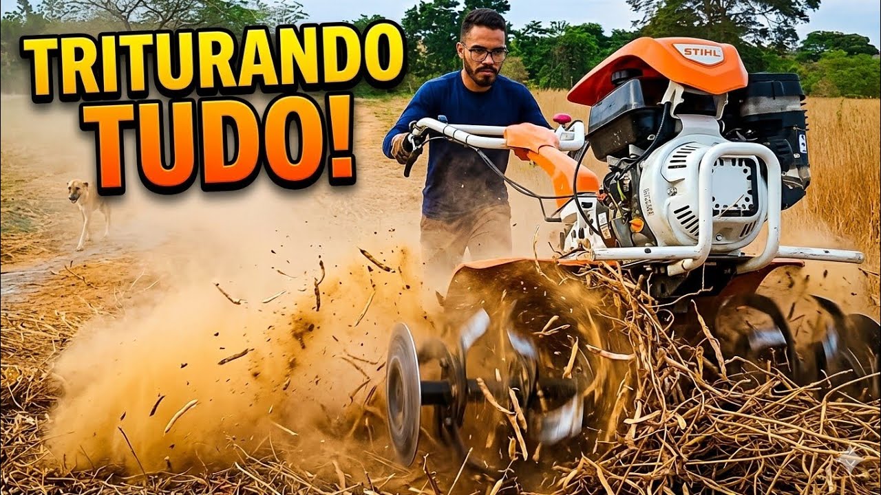 ✅MOTOCULTIVADOR STIHL 710 Triturando pés de FEIJÃO SECO🫛