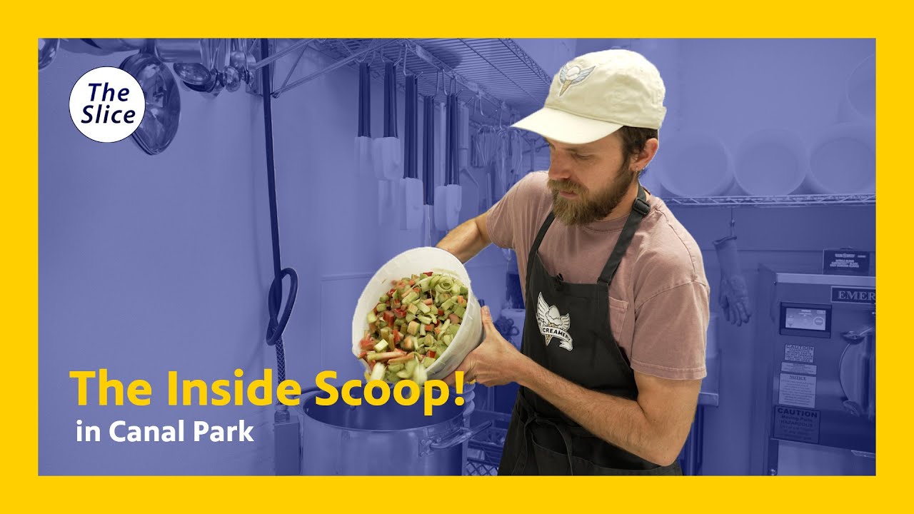 Making Rhubarb Ice Cream