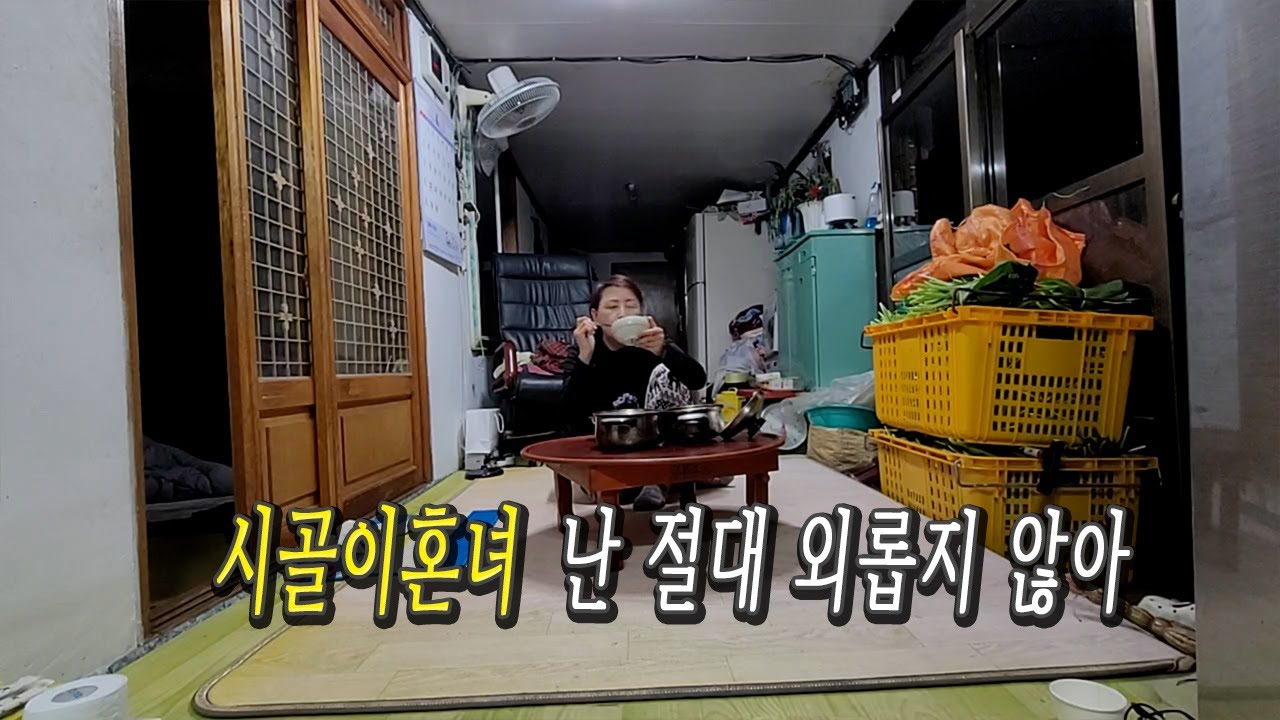 52가구 인구100명 인구소멸 마을 독거녀 V186 이혼 비혼 브이로그 옹진군 북도면 장봉리