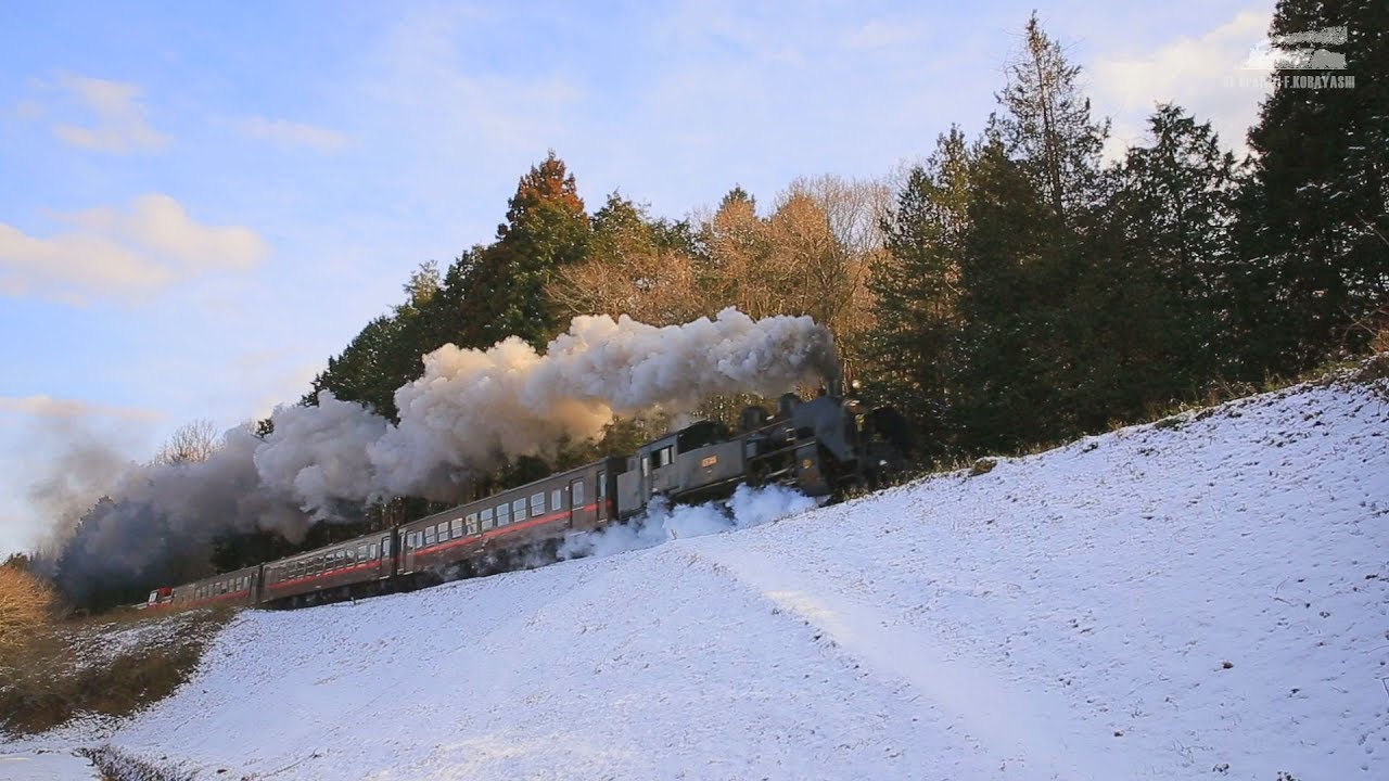 SLもおか号 冬雪景 C11 325 2019年冬 (真岡鐵道)