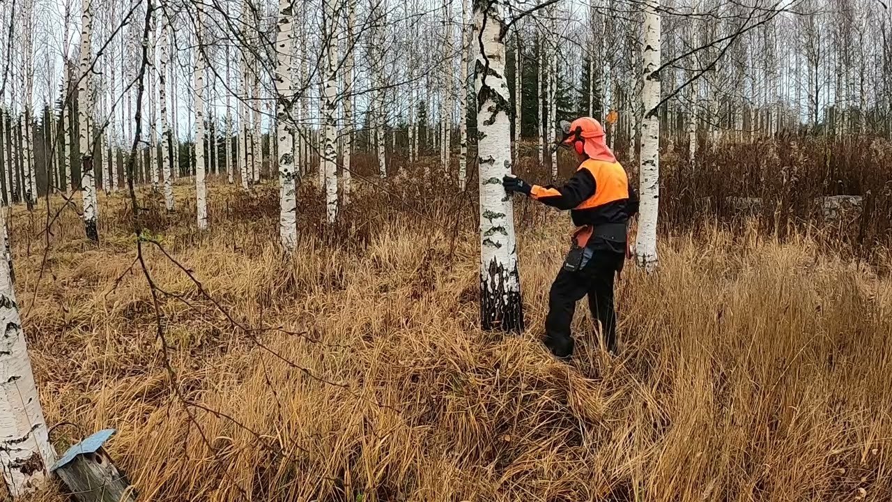 HUSQVARNA + 