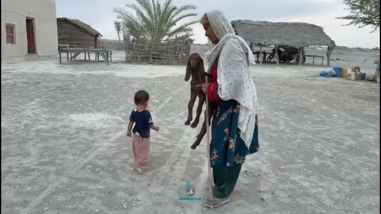 Balóch o Balóchestán | balochistanvlogs2020 #baloch #balochistan #grandma #granddaughter 