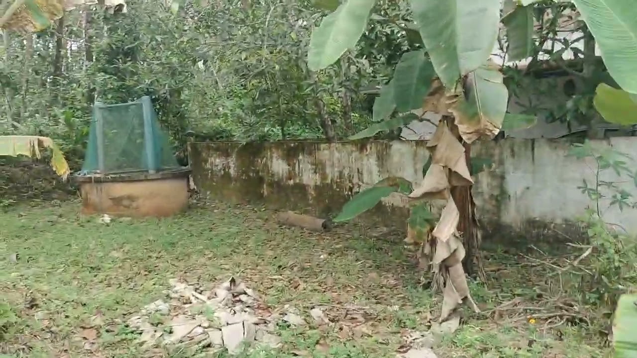 Plot for sale Avittathoor #Realestate Thrissur 95 62 19 97 44 #Realestate Kerala 