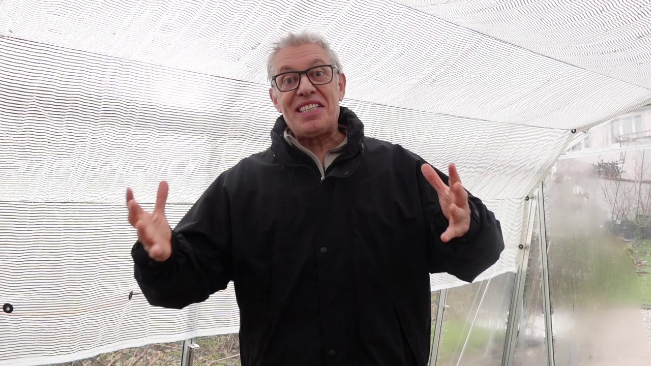 Les confitures de tomates vertes !