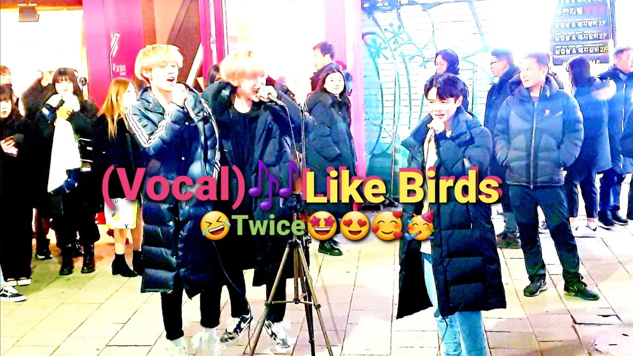 《FTISLAND_(🤣Twice)LikeBirds(🎵Vocal)》☆♡🥳🥰20200101_195241 #Because(비커즈) FT아일랜드#새들처럼 홍대 #SnowHorse