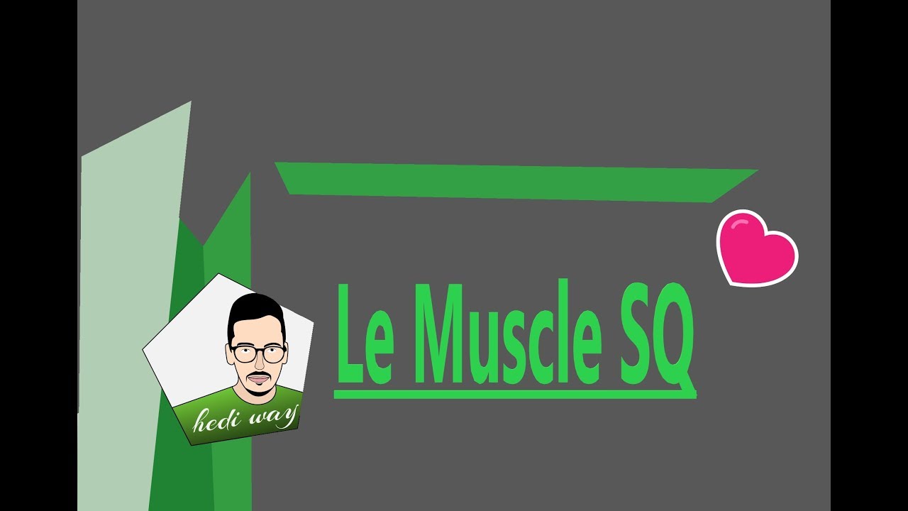 Le Muscle SQ : Part 1  : bac tunisie