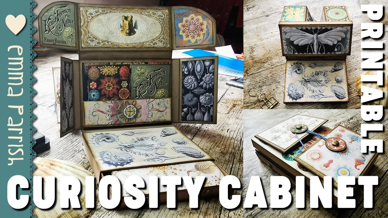 Curiosity Cabinet Junk Journal 3d Paper Construction Printable Tutorial