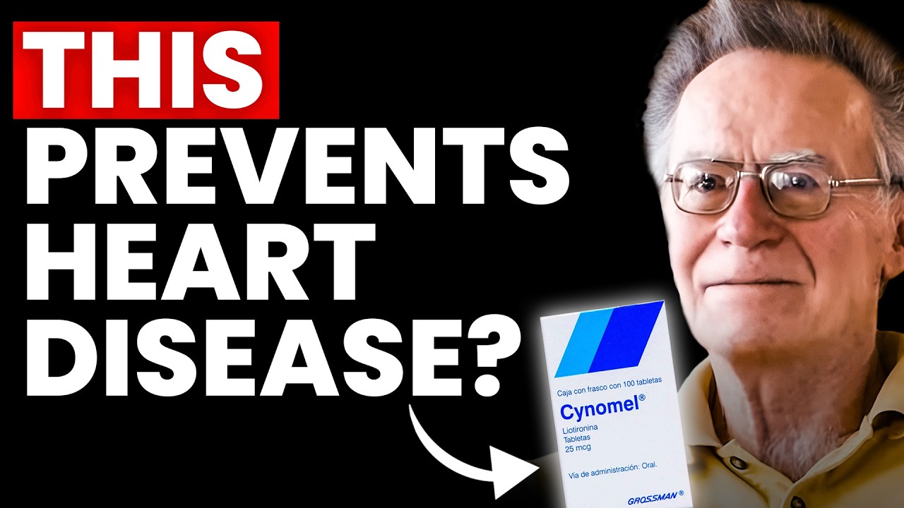 How Thyroid Protects Your Heart — Dr  Ray Peat Was Right