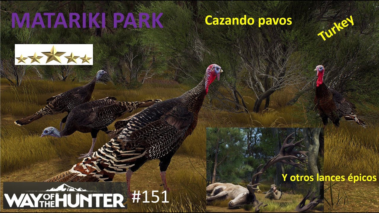 Way of the Hunter: Cazando pavos en Matariki Park
