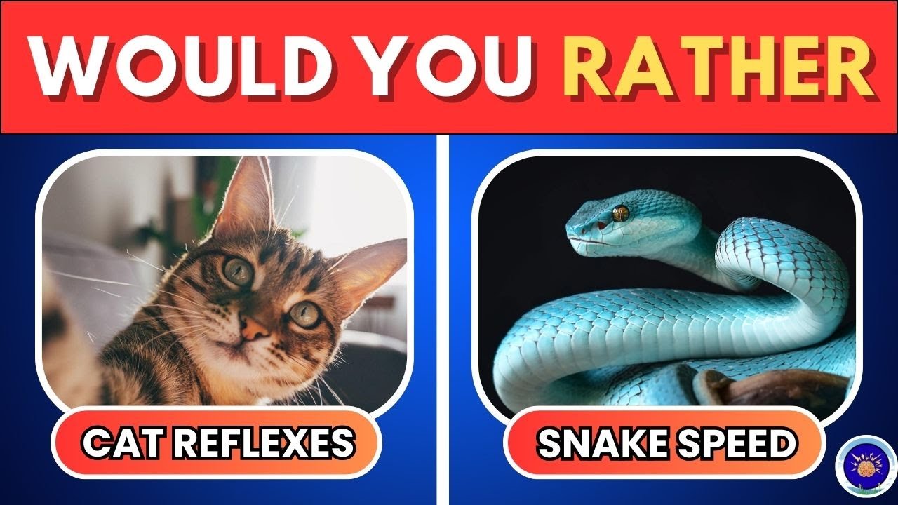 Would You Rather – Animals Edition 🐾 (Hard Choices)