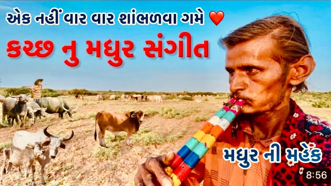 કચ્છ નુ મધુર સંગીત જોડીયા પાવા વગાડનાર એક ગરીબ કલાકાર કેવું જીવન જીવી રહયા છે