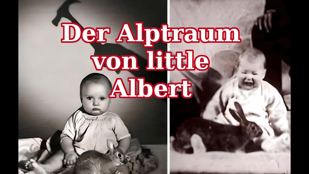 Die 7 verst&ouml;rendsten psychologischen Experimente aller Zeiten - Part 1
