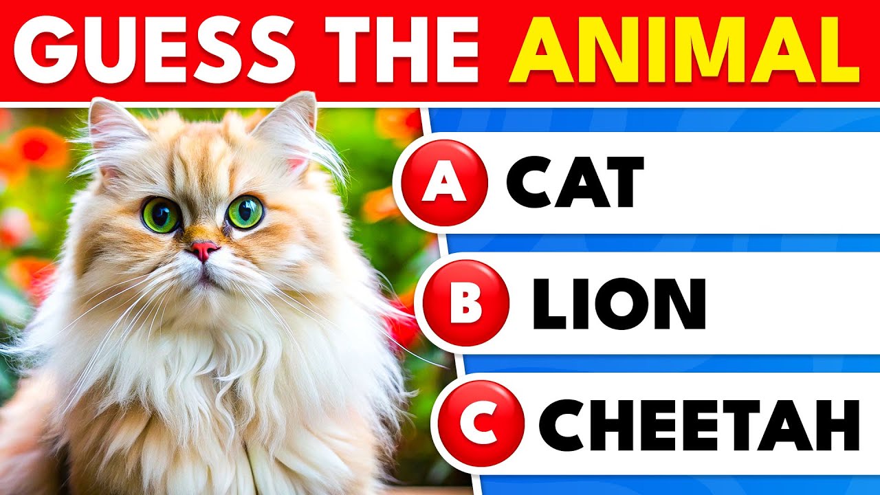 Can You Guess These Animals? 🐾🦁 | 50 Levels Animal Quiz | Knowlio