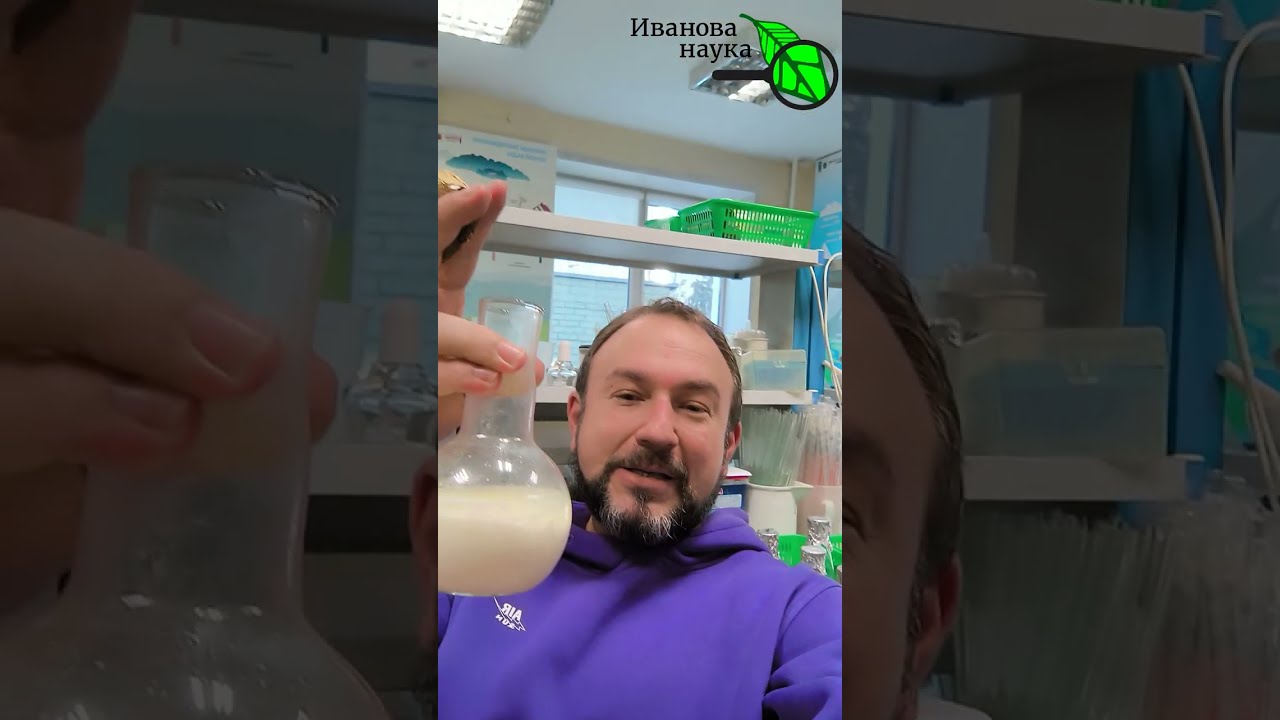 ОКОНФУЗИЛСЯ! Молоко+реутери (Lactobacillus reuteri) превратились в йогурт без добавок.
