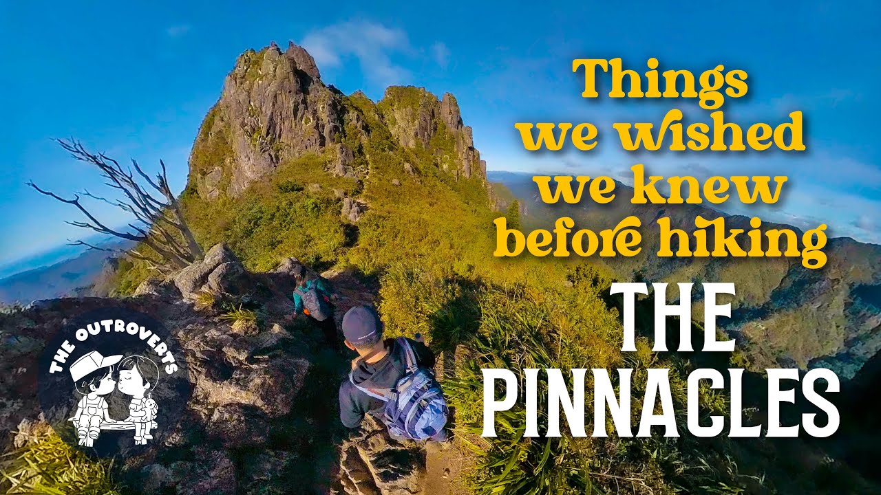🇳🇿 What to expect when hiking THE PINNACLES Coromandel NZ (Kauaeranga Kauri Trail) in a day