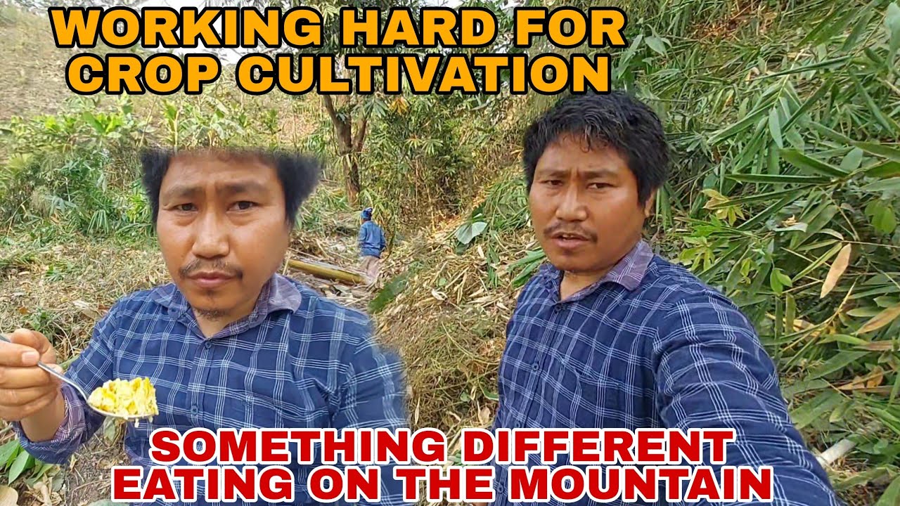 Working Hard for Crop Cultivation | Husband and Wife Cutting Jungle on the Mountain