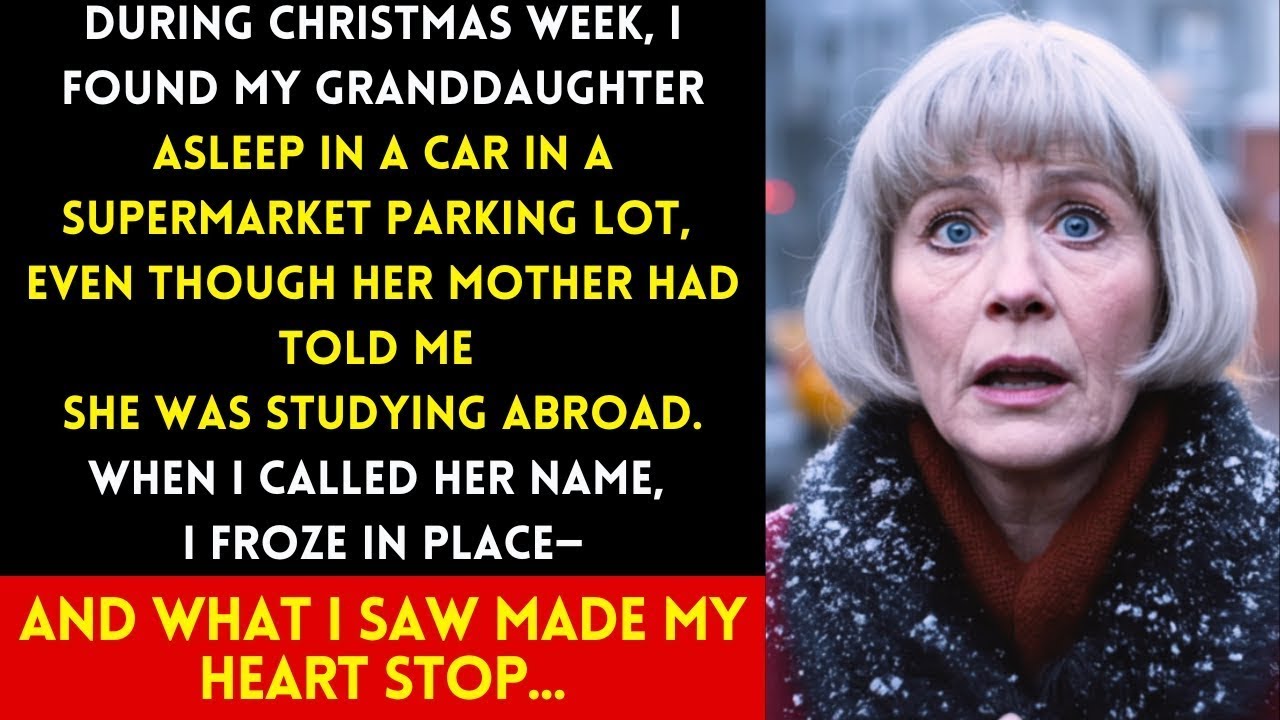 AT CHRISTMAS WEEK, I FOUND MY GRANDDAUGHTER ASLEEP IN A CAR — EVEN THOUGH SHE SHOULD’VE BEEN ABRO