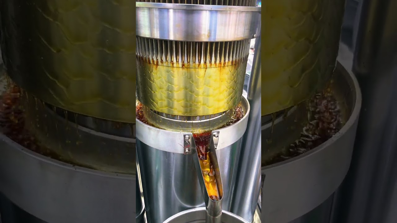 15kg hydraulic oil press machine to press sesame oil in exhibition. #manufacturer #walnut #coldpress