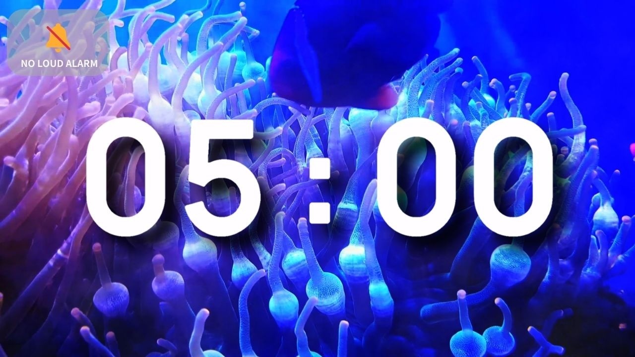 5 Minute Timer with Music — Calm Relaxing Ambient Piano Underwater Coral Reef — NO LOUD ALARM