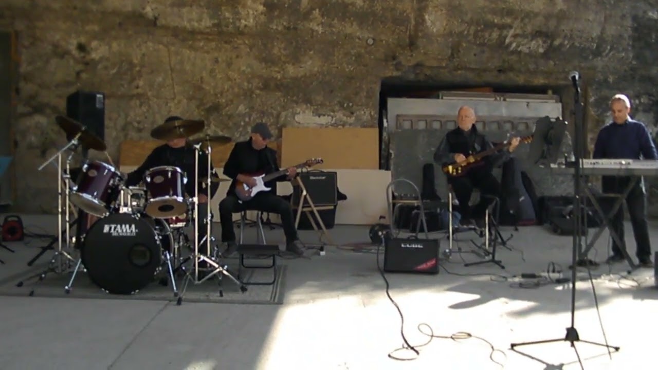 The Shadows: Theme for  Young Lovers - COVER - Szleng együttes - Tárnok - 2024.10.23.