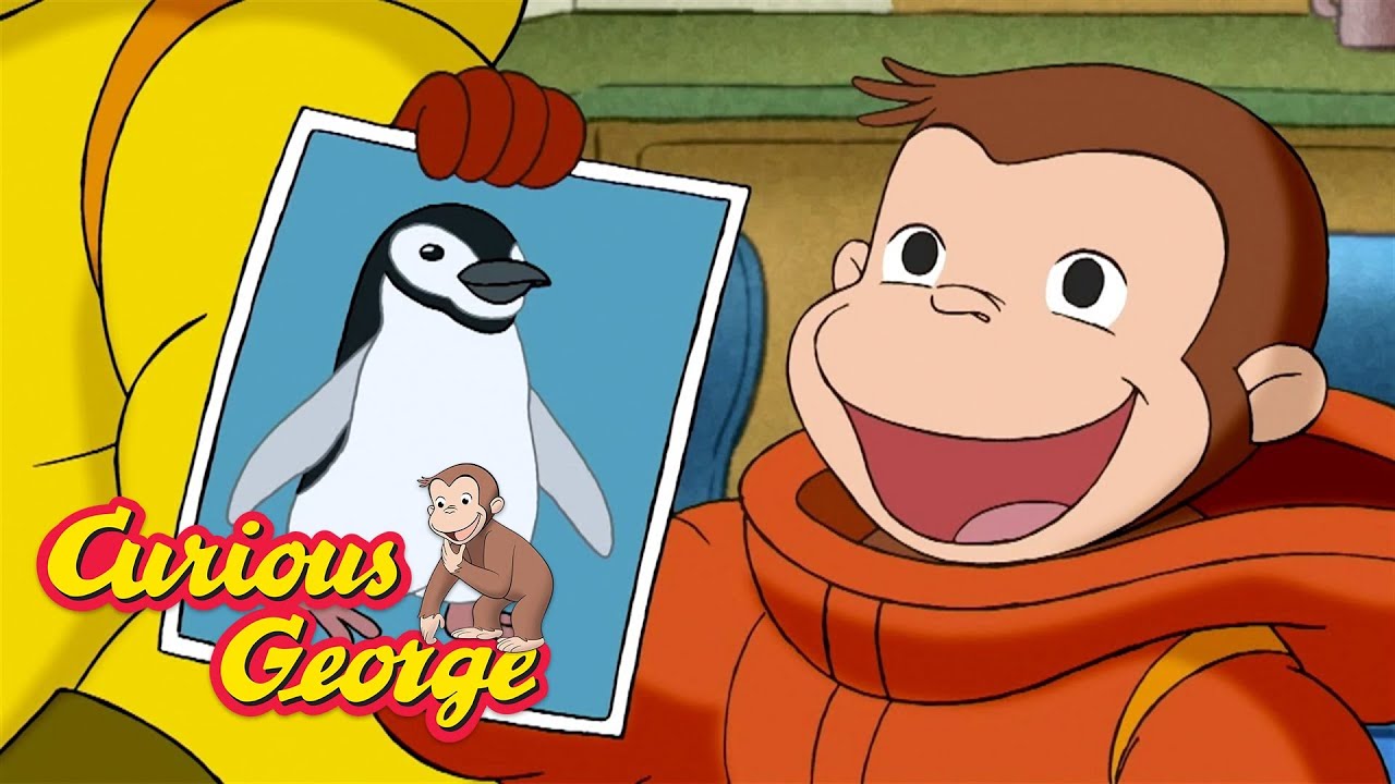 George's Trip to Antarctica!  🐵 Curious George 🐵 Kids Cartoon 🐵 Kids Movies